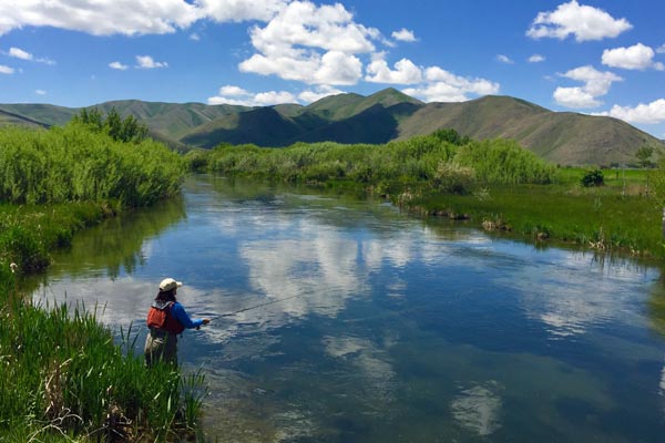 Fly-fishing-Silver-Creek-in-Idaho