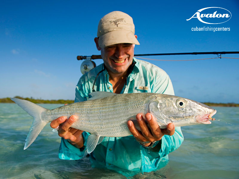 Trip Feature – December 2025