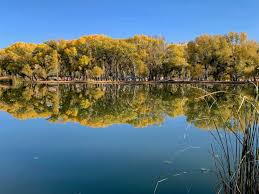 Where to Fish – January 2026